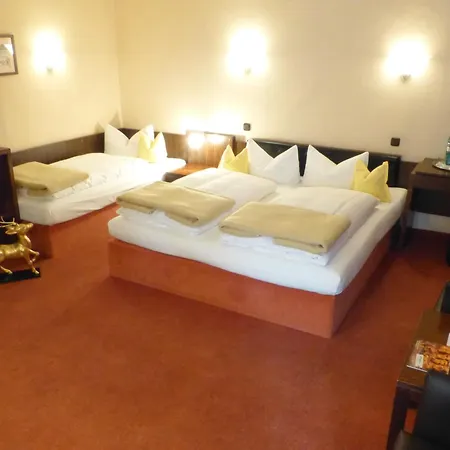 Goldener Hirsch Hotel 3*