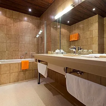 فندق Goldener Hirsch 3*
