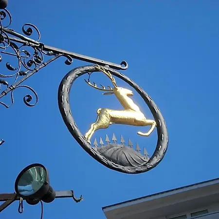 Goldener Hirsch فندق بايروث