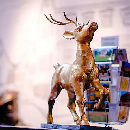 Goldener Hirsch فندق