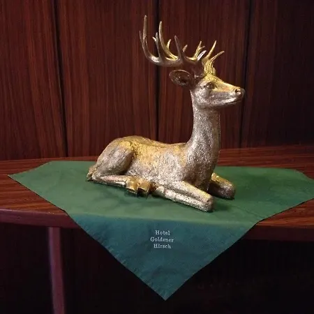 فندق Goldener Hirsch